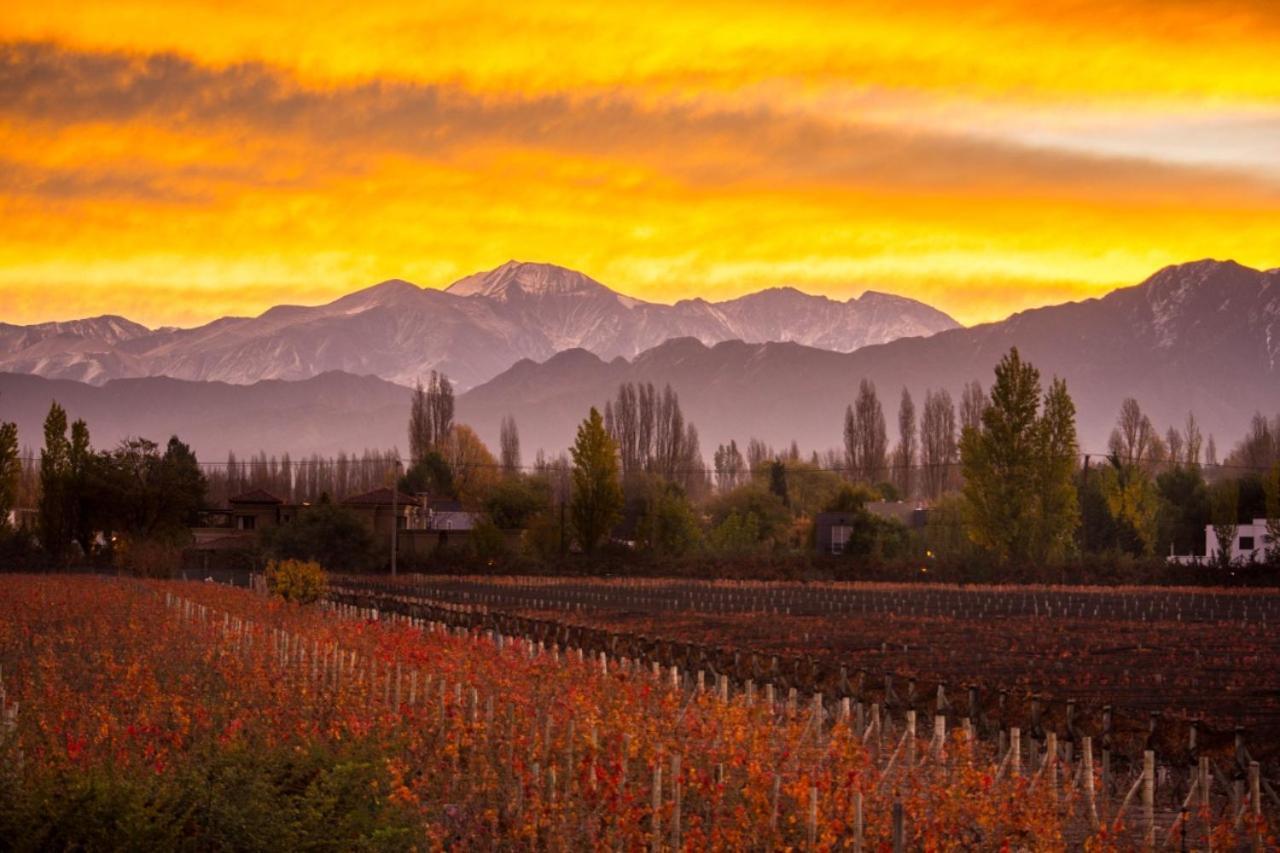 Villa Casa Distinta Mendoza Esterno foto